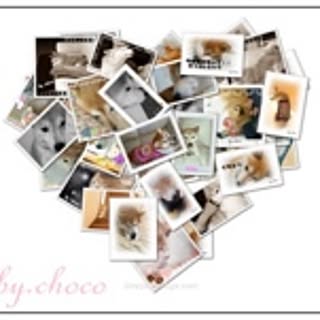 chocomoka