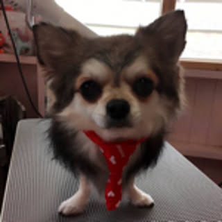milu
