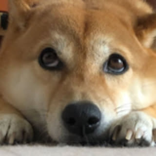 koketama
