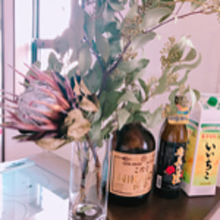 kagetora3102