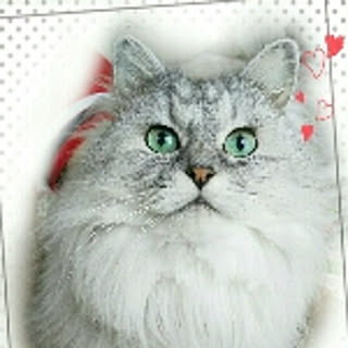 hanayoi