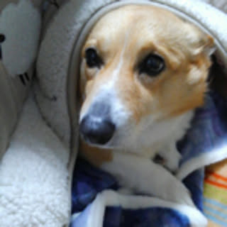 Yuka