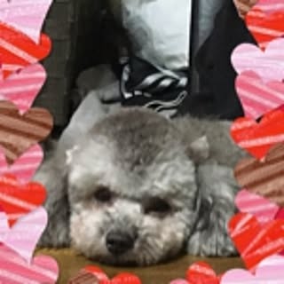 chikako