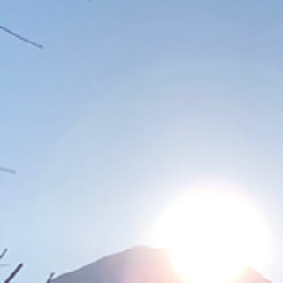 aaa