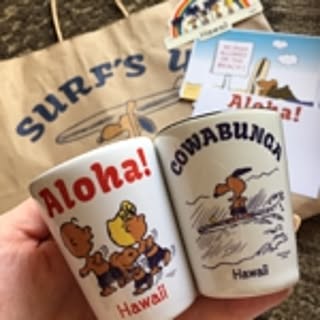 noopysan