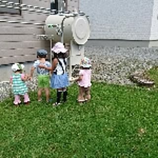 naomis