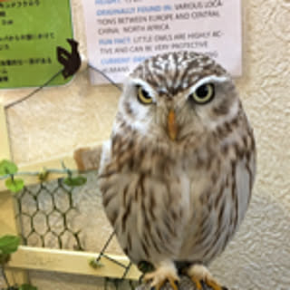kyuko