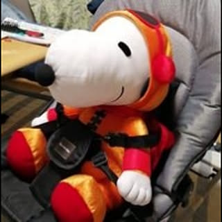 koma