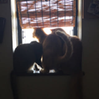 maru