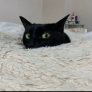 kuroitenshe