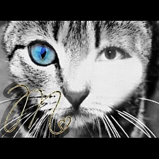 mikineko