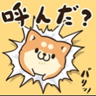 sachie