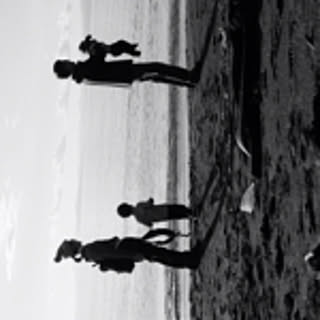 ymsn