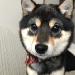 emi