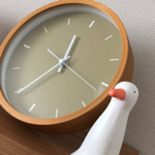 yasai