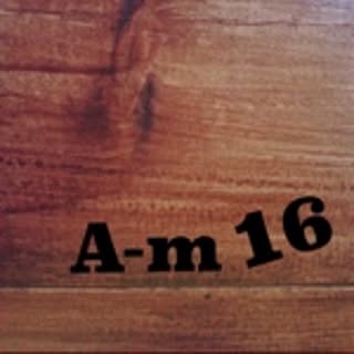 A-m16