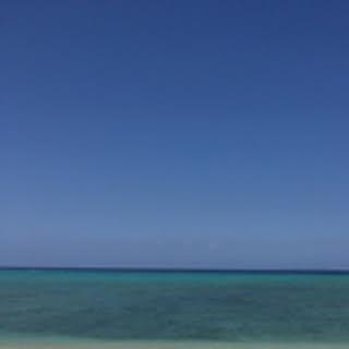 haruharurinrin