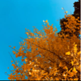 SunnySky612