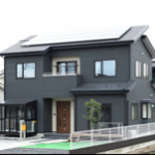 habu