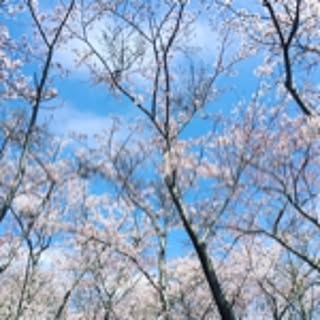 kobaco