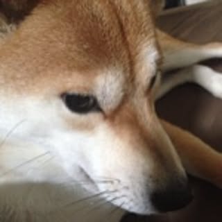 mimi