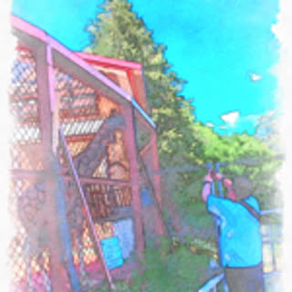TOSHI