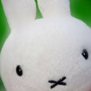 Kazuno