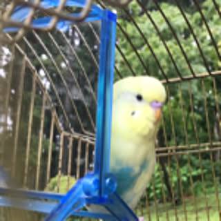 Keito