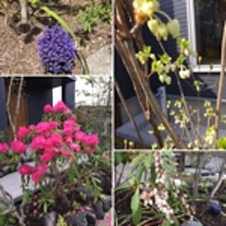spring581