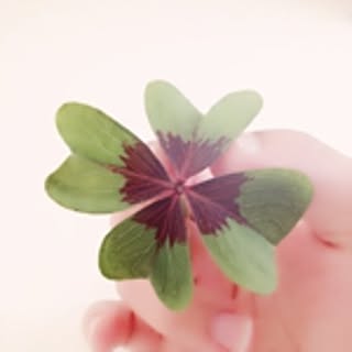 happy-moment