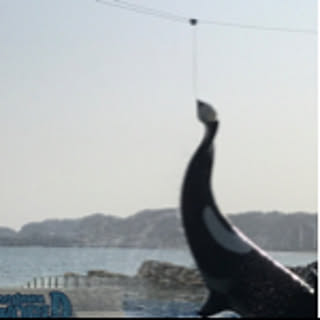 tugtug