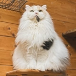 keiboo
