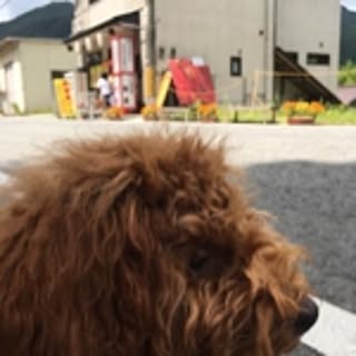 taka999