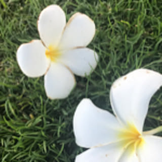 CHI