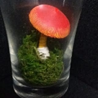 kinoko