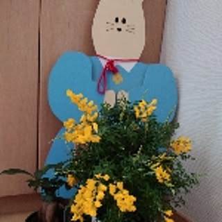 takaboo