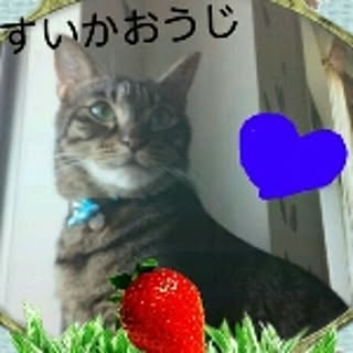 leomasa