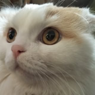 hiro an