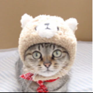mikiko