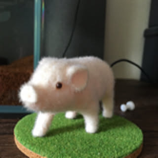 toto