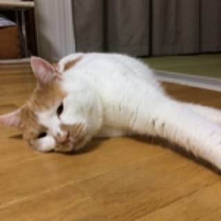 himekichi
