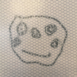 tomochi
