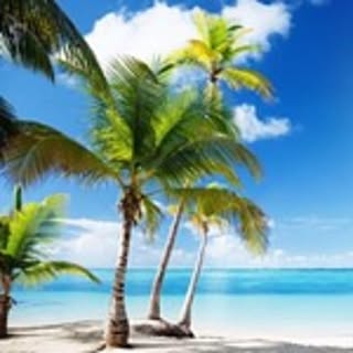 HauOli