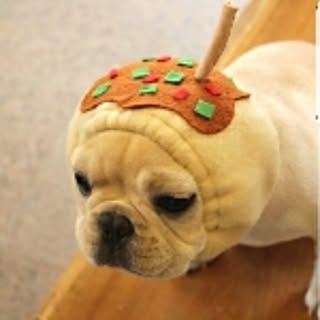 taro