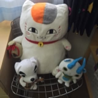 Miti