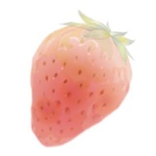 horipu