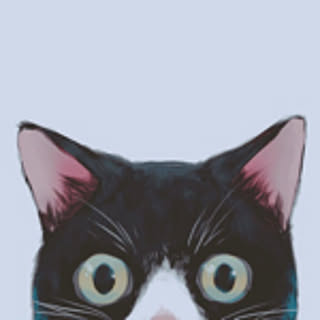 sio
