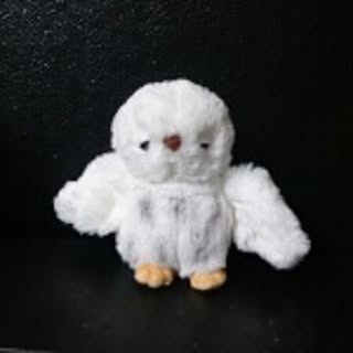 owlko