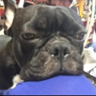 Kumie