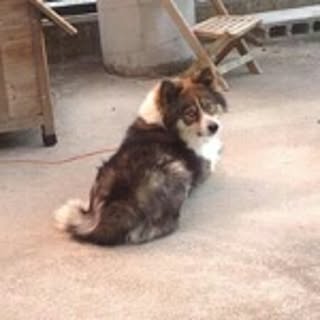 Yuko